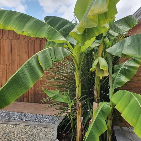 Lou Cachotte Apartamento Le Teich Exterior foto